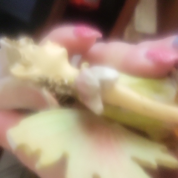 Fairy - Picture 3 of 3